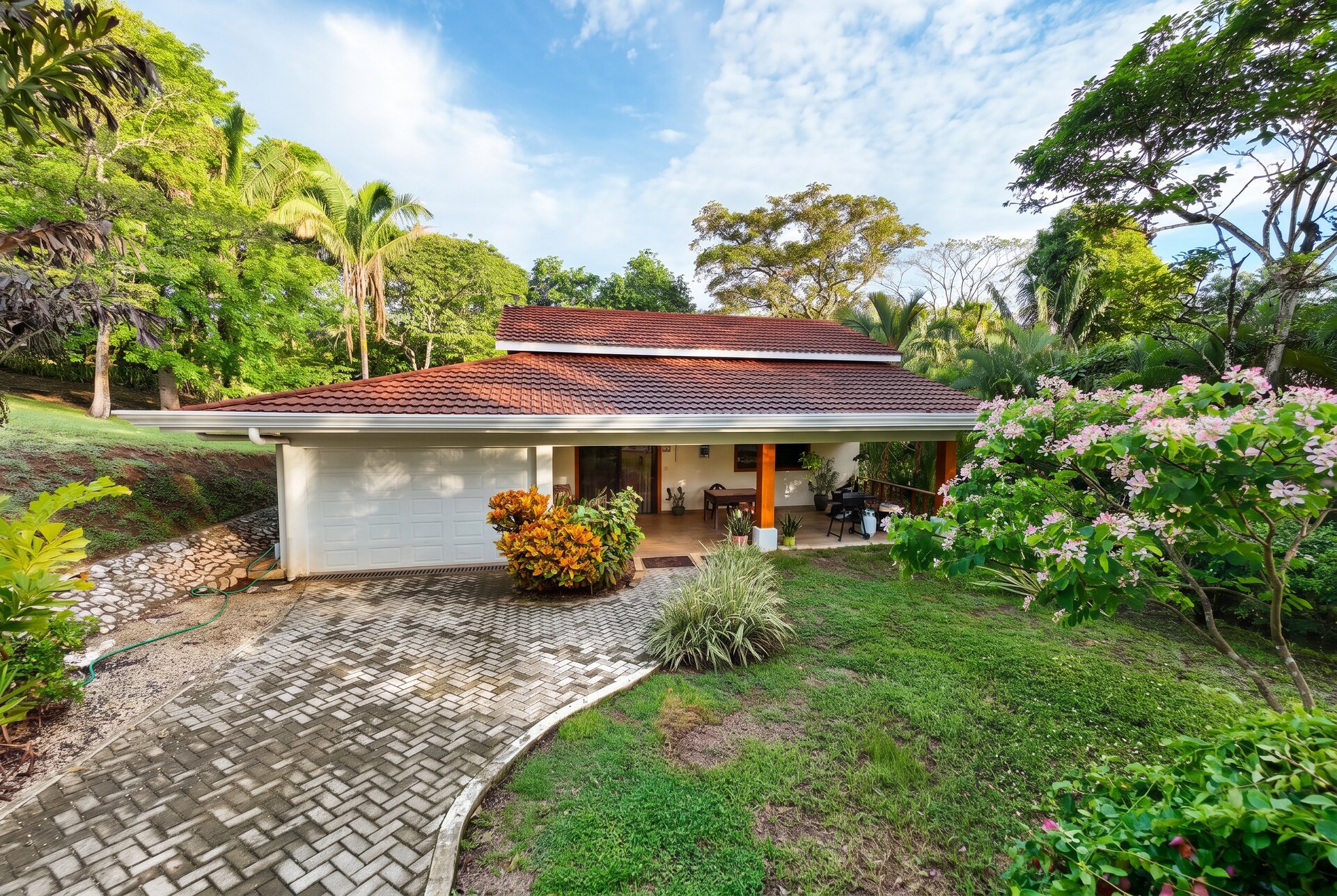 Tropical grounds — Sámara–Carrillo, Guanacaste